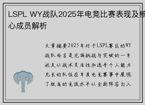 LSPL WY战队2025年电竞比赛表现及核心成员解析