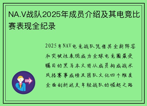 NA.V战队2025年成员介绍及其电竞比赛表现全纪录